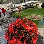 Hortus Z Klimatyzacją *