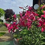 Hortus Z Klimatyzacją *