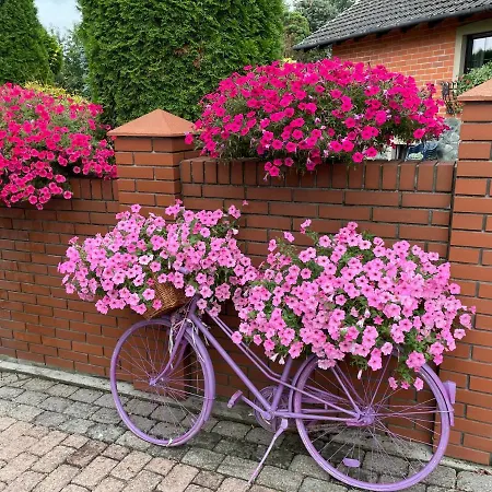 Apartmán Hortus Z Klimatyzacja *