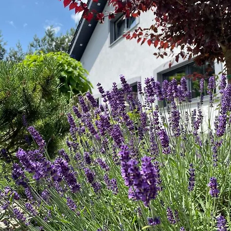 Hortus Z Klimatyzacja