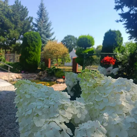 아파트 Hortus Z Klimatyzacja