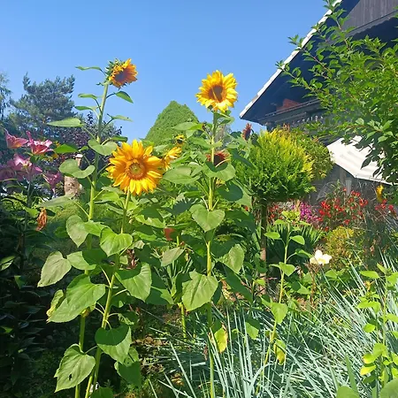 아파트 Hortus Z Klimatyzacja *