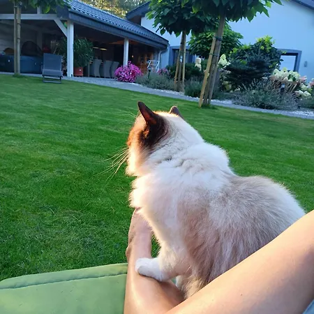 아파트 Hortus Z Klimatyzacja *