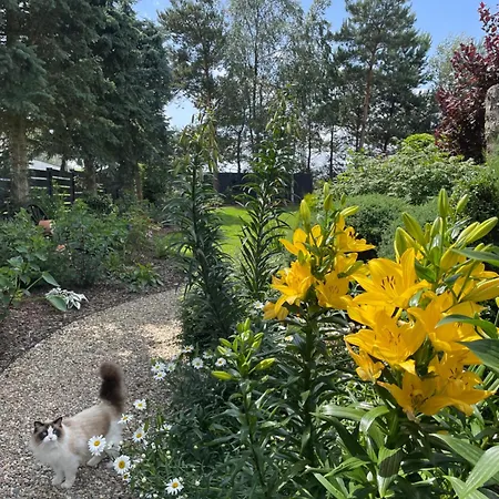 Hortus Z Klimatyzacja Апартаменты *