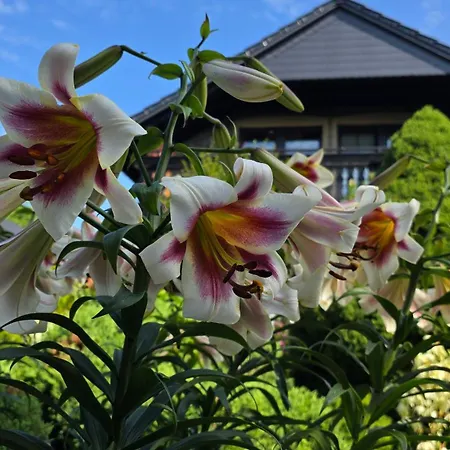 Hortus Z Klimatyzacja 아파트 볼레스와비에츠