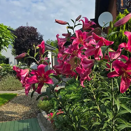 Hortus Z Klimatyzacja *