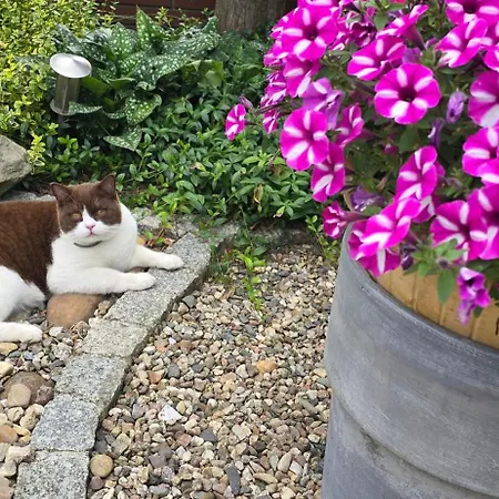 Hortus Z Klimatyzacja *