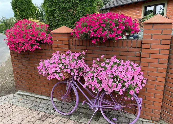 شقة Hortus Z Klimatyzacja *