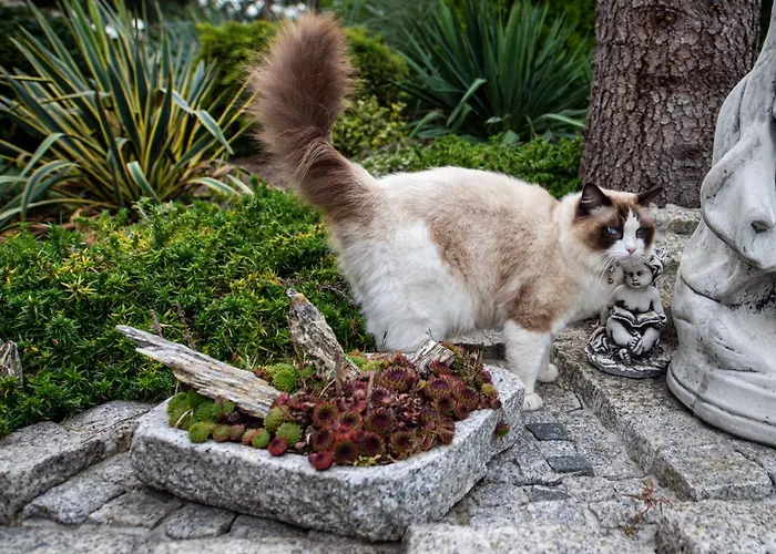 Hortus Z Klimatyzacja شقة *