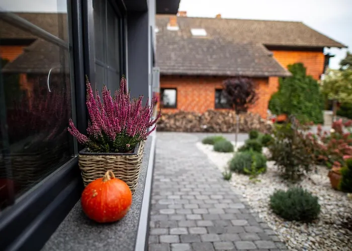 公寓 Hortus Z Klimatyzacja 博莱斯瓦维茨