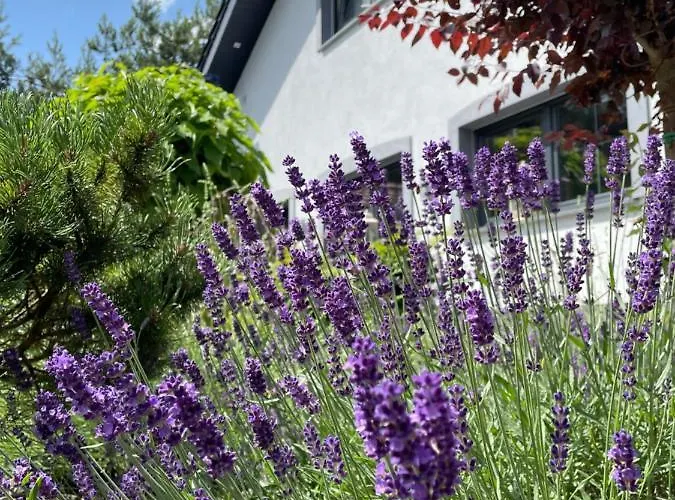 Hortus Z Klimatyzacja