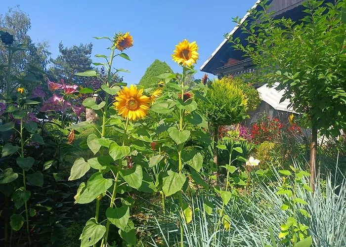 شقة Hortus Z Klimatyzacja *