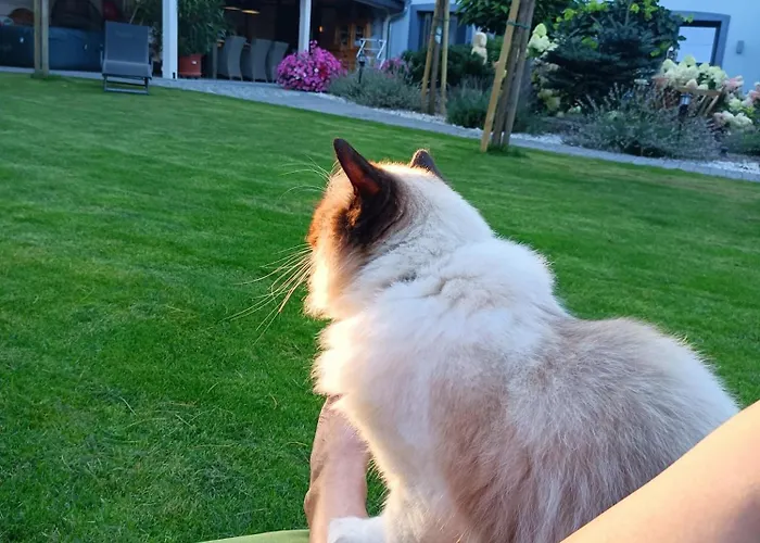 公寓 Hortus Z Klimatyzacja *