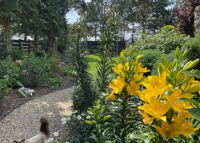 Hortus Z Klimatyzacja شقة *