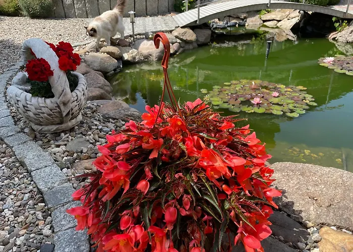 Hortus Z Klimatyzacja *