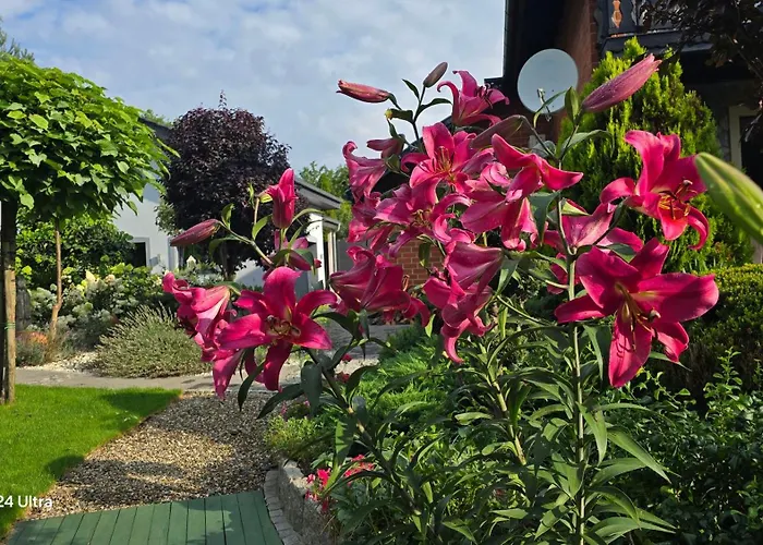 Hortus Z Klimatyzacja *